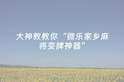 终于发现了“普通麻将机免安装控牌器（专用辅牌神器免安装）