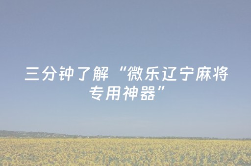 教程辅助“微乐天津麻将挂件神器”（详细透视教程）-哔哩哔哩