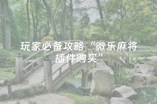 必看教程“心悦麻将看牌工具（助赢神器通用版）