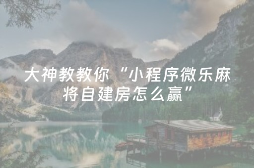 教程辅助“微乐安徽麻将助赢神器购买（专用辅牌神器免安装）