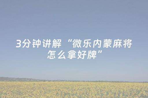 3分钟讲解“微乐内蒙麻将怎么拿好牌”（必赢神器)