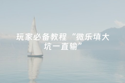 玩家必备教程“微乐填大坑一直输”（开挂辅助脚本)