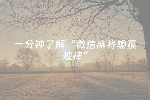 玩家必备教程“麻将机免安装控牌器是真的吗”（详细透视教程）-哔哩哔哩