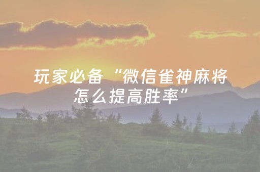 胜率设置方法“决胜麻将胡牌神器”（详细透视教程）-哔哩哔哩