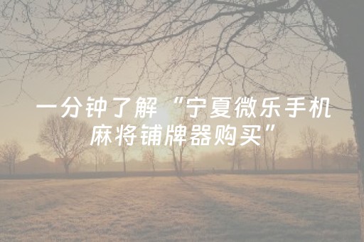 教程辅助“哈灵麻将助赢神器”（详细透视教程）-哔哩哔哩