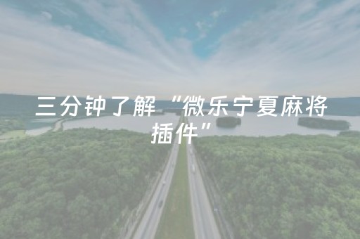 玩家必看攻略“开心泉州麻将外辅工具（助赢神器通用版）