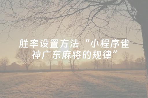 胜率设置方法“小程序雀神广东麻将的规律”（辅助挂发牌规律)