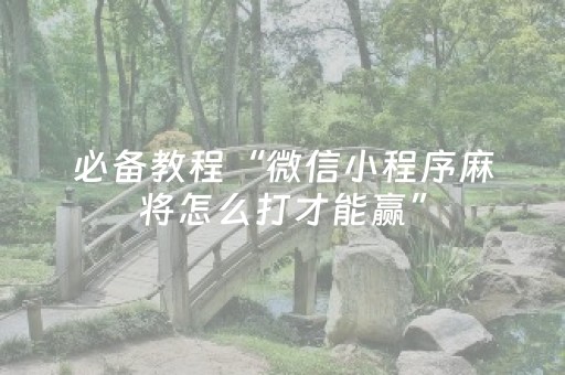 必备教程“微信小程序麻将怎么打才能赢”（透明器教程)