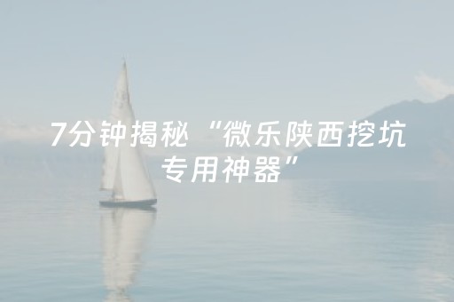 7分钟揭秘“微乐陕西挖坑专用神器”（必赢神器免费安装)