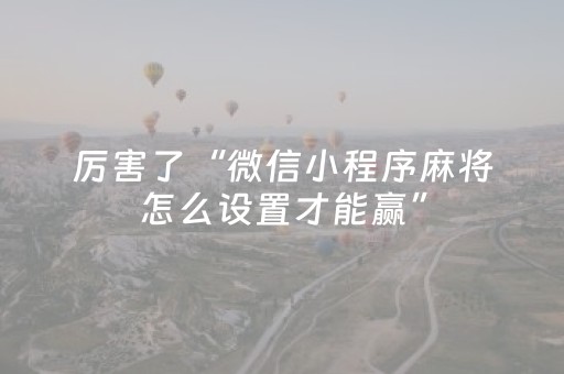 玩家必备教程“闲逸碰胡辅助器（助赢神器通用版）