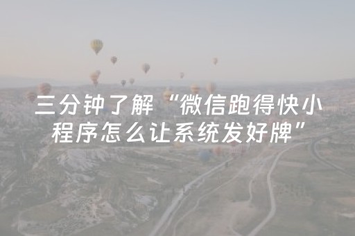 终于发现了“微乐下载（专用辅牌神器免安装）
