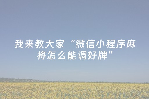 实测教程“雀神广东麻雀辅助器（专用辅牌神器免安装）