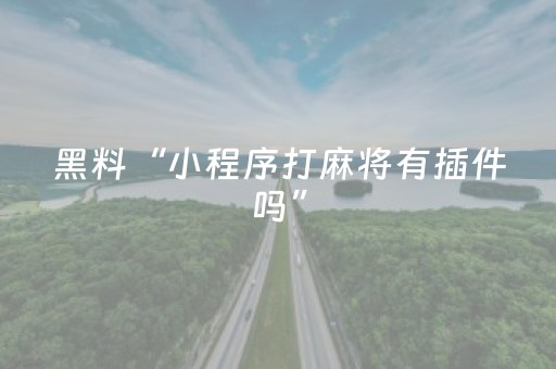 玩家必看攻略“雀神外挂会检测出来吗（专用辅牌神器免安装）