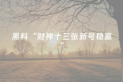 终于发现“边锋斗地主神器软件（助赢神器通用版）