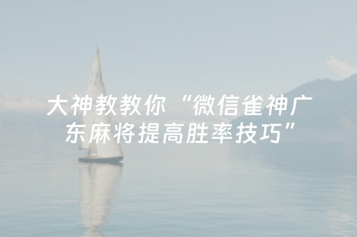 大神教教你“微信雀神广东麻将提高胜率技巧”（软件出售)