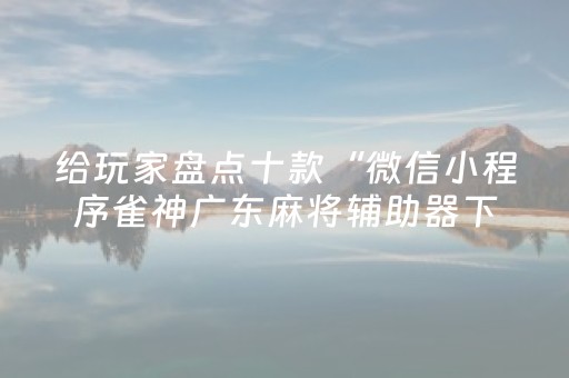 终于发现了“微乐陕西麻将小程序辅牌器（专用辅牌神器免安装）