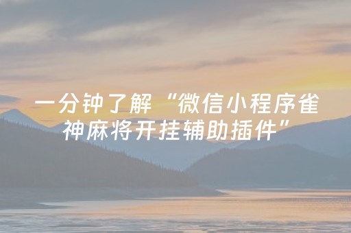一分钟了解“微信小程序雀神麻将开挂辅助插件”（AI辅助胡牌规则)