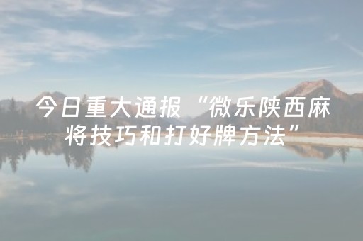 今日重大通报“微乐陕西麻将技巧和打好牌方法”（专用神器下载)