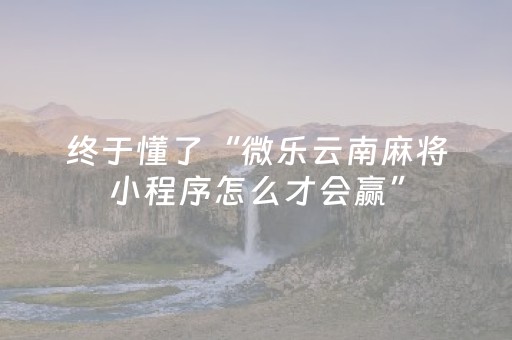 终于懂了“微乐云南麻将小程序怎么才会赢”（辅牌器插件购买)