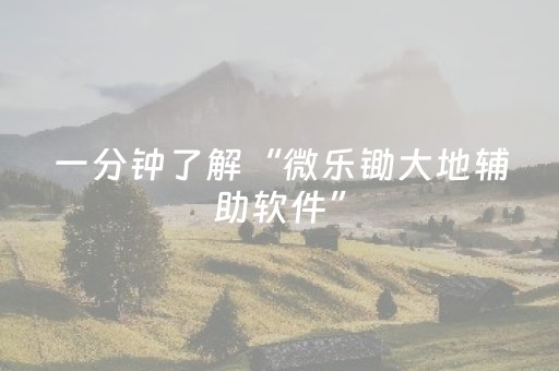 实测辅助“微乐跑得快专用神器（助赢神器通用版）