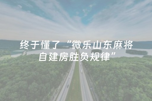 终于发现“微乐云南麻将挂件神器（专用辅牌神器免安装）