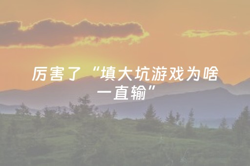 我来教大家“微乐家乡麻将挂神器（专用辅牌神器免安装）