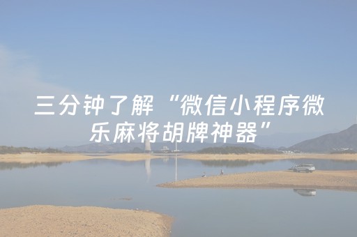 玩家实测“微乐广东麻将插件购买（助赢神器通用版）