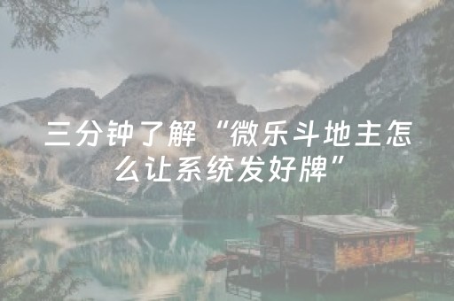 三分钟了解“微乐斗地主怎么让系统发好牌”（自建房胜负规律)
