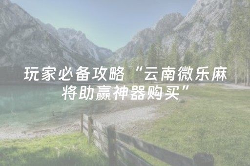 玩家必备攻略“云南微乐麻将助赢神器购买”（万能开挂神器)