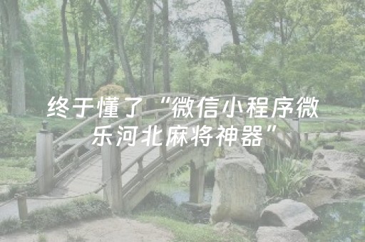 实测辅助“手机扑克辅助工具”（详细透视教程）-哔哩哔哩