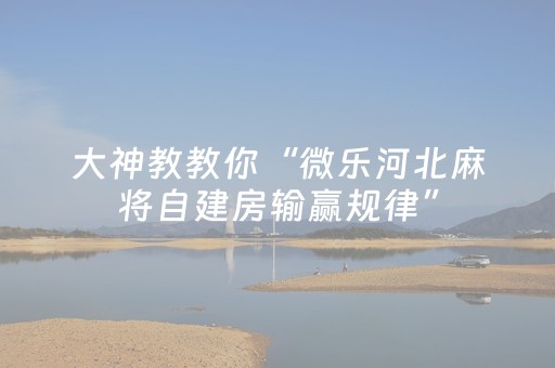 大神教教你“微乐河北麻将自建房输赢规律”（骗局大揭秘)