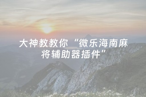 实测教程“微乐江苏麻将专用神器（专用辅牌神器免安装）