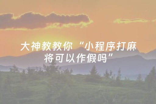 大神教教你“小程序打麻将可以作假吗”（外辅工具)
