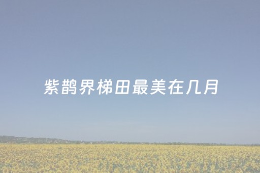 紫鹊界梯田最美在几月（紫鹊界梯田门票多少钱）
