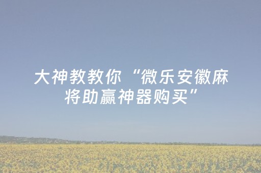 实测教程“微乐江西麻将插件安装（助赢神器通用版）