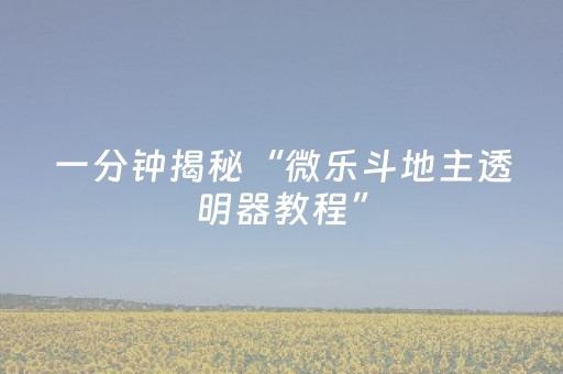 一分钟揭秘“微乐斗地主透明器教程”（专用神器)