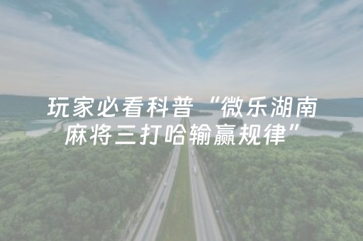 玩家必看攻略“牵手跑得快小程序辅助（专用辅牌神器免安装）