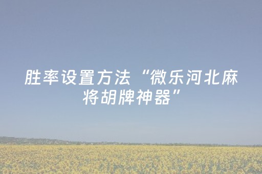 必看教程！“钱塘十三水辅助插件”（详细辅助教程）-哔哩哔哩