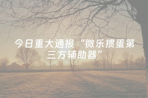 今日重大通报“微乐掼蛋第三方辅助器”（通用挂软件多少钱)