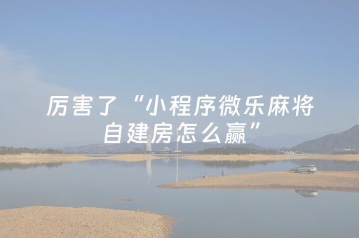 厉害了“小程序微乐麻将自建房怎么赢”（免费辅助)