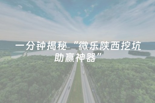 一分钟揭秘“微乐陕西挖坑助赢神器”（有没有猫腻)