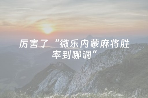 厉害了“微乐内蒙麻将胜率到哪调”（软件出售)