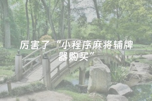 厉害了“小程序麻将辅牌器购买”（万能开挂器)