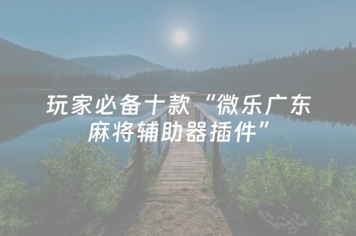 玩家必备十款“微乐广东麻将辅助器插件”（外辅工具)