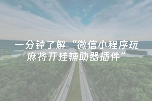 一分钟了解“微信小程序玩麻将开挂辅助器插件”（怎么能得到好牌)