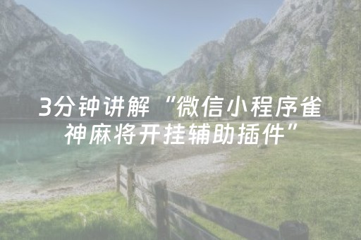 3分钟讲解“微信小程序雀神麻将开挂辅助插件”（专用神器下载)