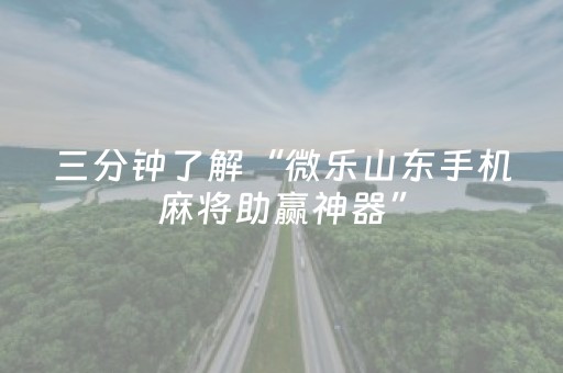 玩家必备教程“手机麻将控牌软件（专用辅牌神器免安装）
