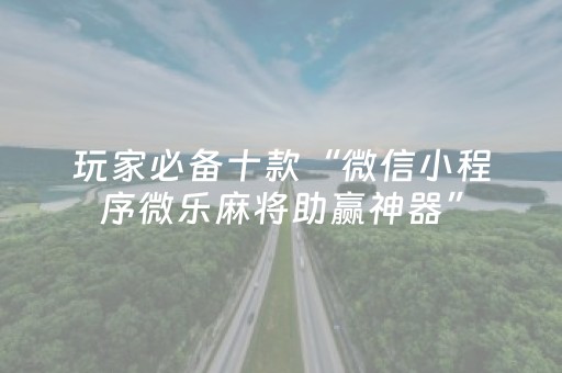 玩家必看教程！“微信打麻将有什么软件可以赢”（详细辅助教程）-哔哩哔哩