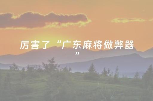 厉害了“广东麻将做弊器”（神器通用版)