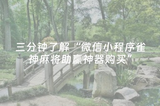 三分钟了解“微信小程序雀神麻将助赢神器购买”（透明器教程)